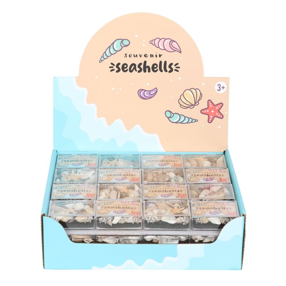 Set of 48 Souvenir Sea Shell Boxes